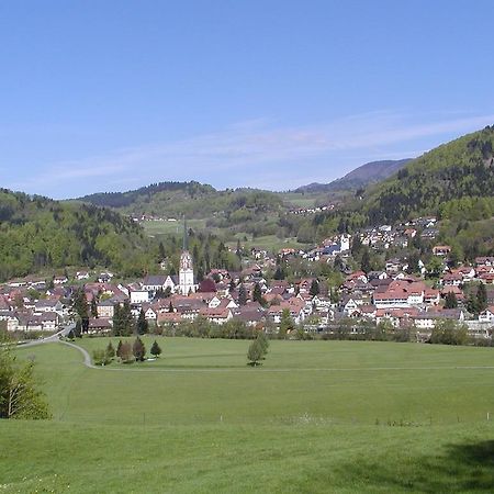 Parkhotel Sonne Schönau im Schwarzwald Exteriér fotografie