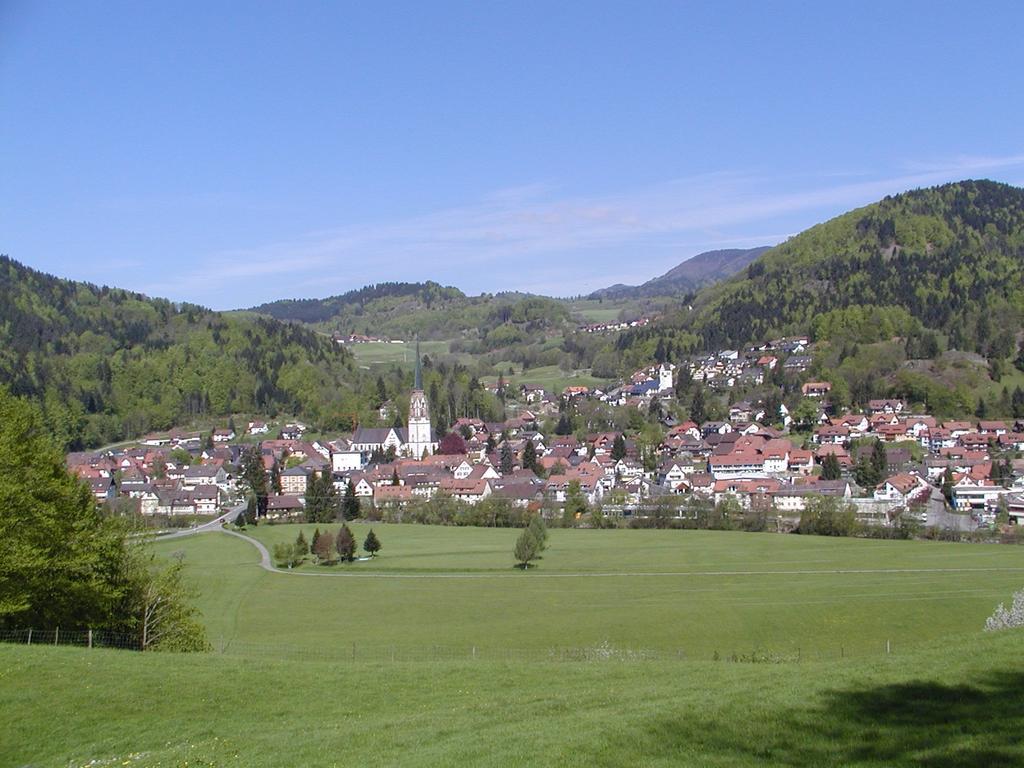Parkhotel Sonne Schönau im Schwarzwald Exteriér fotografie